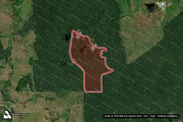 Imagem de satélite de Infração da Flora em Anapu - PA