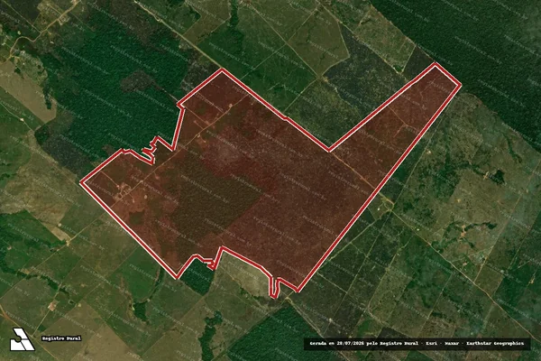 Imagem de satélite de Infração da Flora em Porto Velho - RO