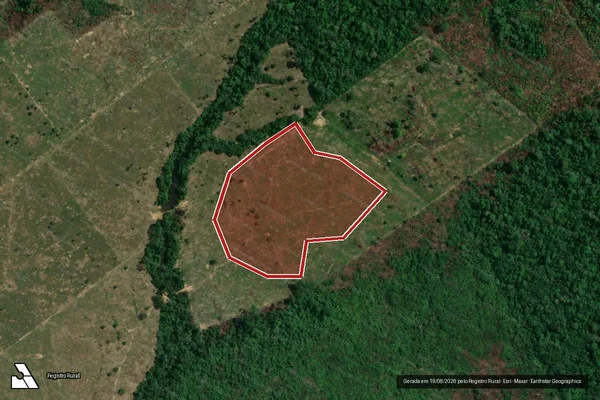 Imagem de satélite de Infração Ambiental em Manicoré - AM