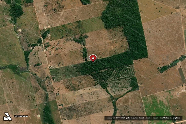 Imagem de satélite de Infração da Flora em Carlinda - MT (marcador da localização)