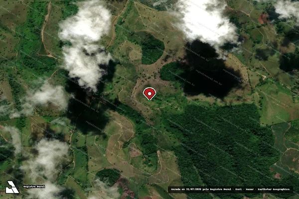 Imagem de satélite de Infração da Flora em Palmares - PE (marcador da localização)