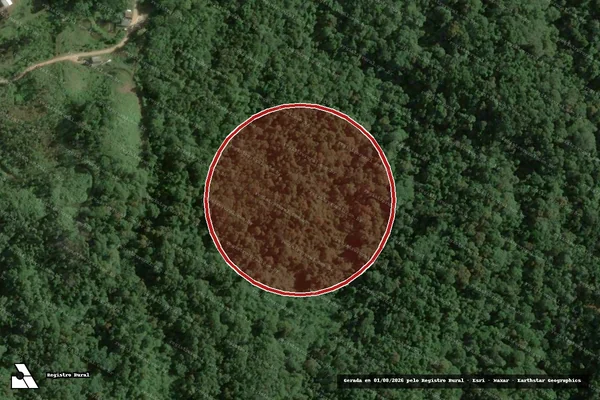 Imagem de satélite de Infração Ambiental em Brusque - SC