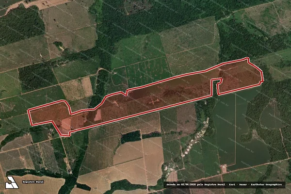 Imagem de satélite de Infração da Flora em Novo Progresso - PA