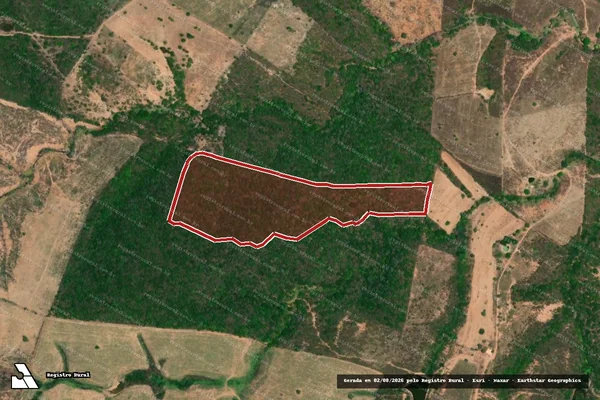 Imagem de satélite de Infração da Flora em Nossa Senhora da Glória - SE
