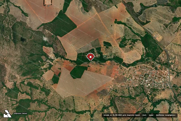 Imagem de satélite de Infração Ambiental em Marzagão - GO (marcador da localização)