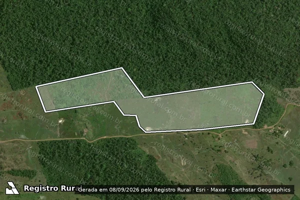 Imagem de satélite de Infração da Flora em Rorainópolis - RR