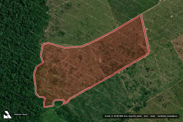 Imagem de satélite de Infração da Flora em Manicoré - AM