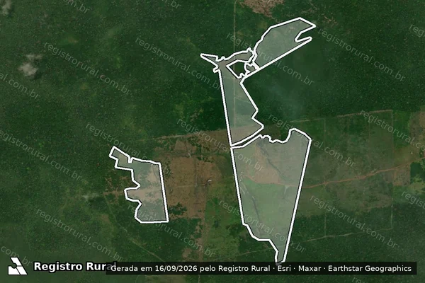 Imagem de satélite de Infração da Flora em Rorainópolis - RR