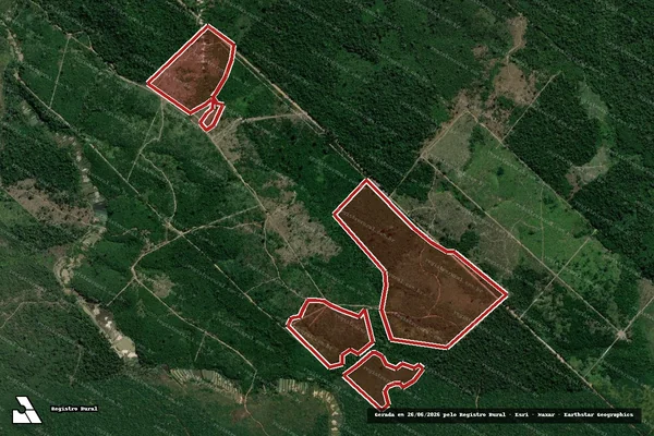 Imagem de satélite — Embargo IBAMA — Infração da Flora - Itaituba/PA