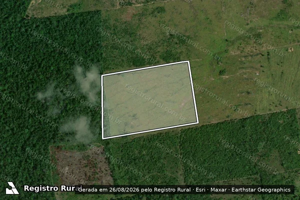 Imagem de satélite de Infração da Flora em Iracema - RR