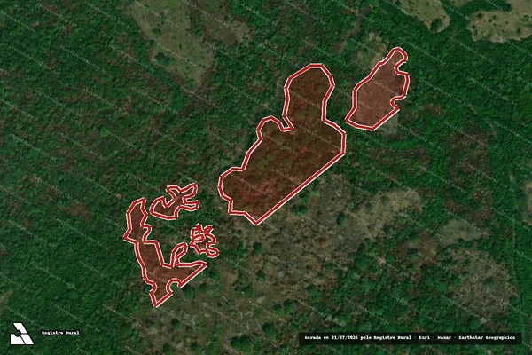Imagem de satélite de Infração Ambiental em Careiro da Várzea - AM