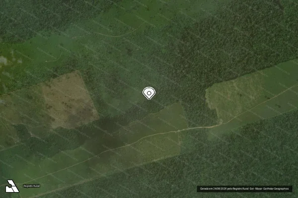 Imagem de satélite de Infração da Flora em Novo Progresso - PA (marcador da localização)