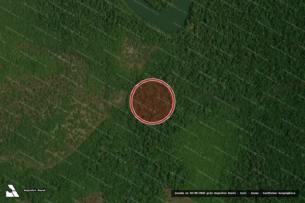 Imagem de satélite de Infração Ambiental em Sorriso - MT