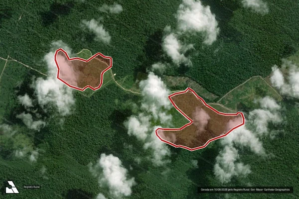 Imagem de satélite de Infração da Flora em Portel - PA