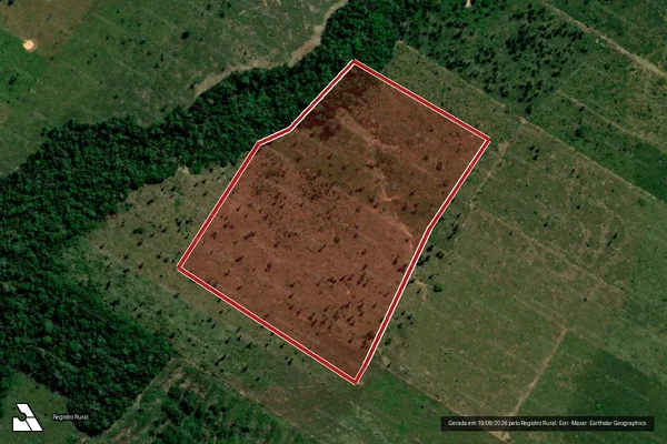 Imagem de satélite de Infração da Flora em Porto Velho - RO