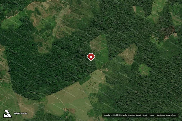 Imagem de satélite — Embargo IBAMA — Infração da Flora — Vitória do Xingu/PA