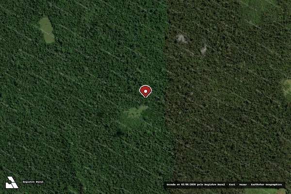 Imagem de satélite de Infração da Flora em Altamira - PA (marcador da localização)