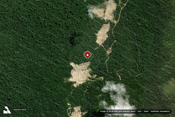 Imagem de satélite de Infração da Flora em São Félix do Xingu - PA (marcador da localização)