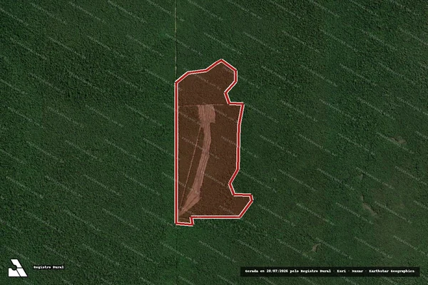 Imagem de satélite de Infração da Flora em Humaitá - AM
