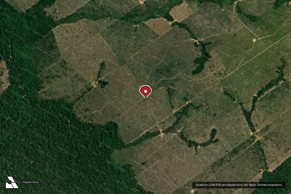 Imagem de satélite de Infração da Flora em Manicoré - AM (marcador da localização)