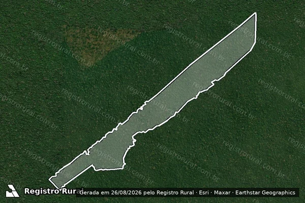 Imagem de satélite de Infração Ambiental em Maués - AM