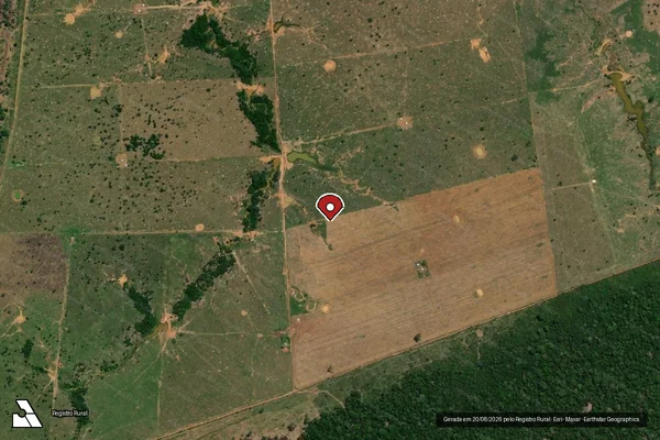 Imagem de satélite de Infração da Flora em Porto Velho - RO (marcador da localização)