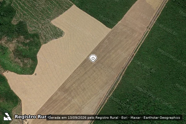 Imagem de satélite de Infração Ambiental em Dom Eliseu - PA (marcador da localização)