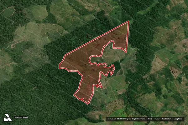 Imagem de satélite de Infração da Flora em Pacajá - PA