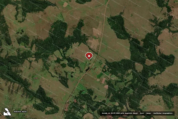 Imagem de satélite de Infração da Flora em São Francisco de Assis - RS (marcador da localização)