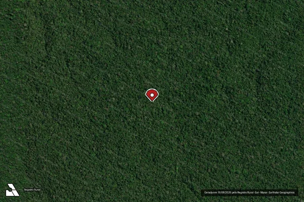 Imagem de satélite de Infração da Flora em Apuí - AM (marcador da localização)