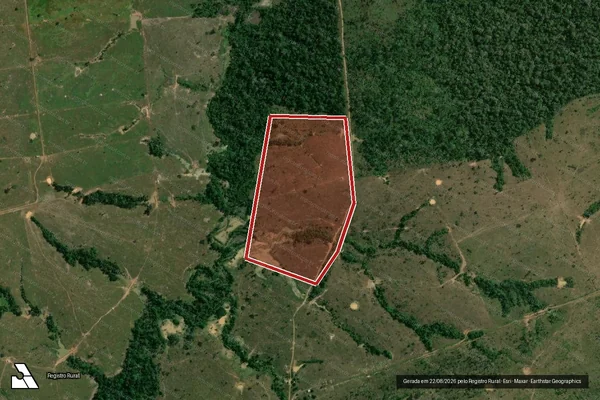 Imagem de satélite de Infração da Flora em Porto Velho - RO