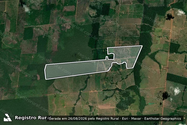 Imagem de satélite — Embargo IBAMA — Infração da Flora — Lábrea/AM