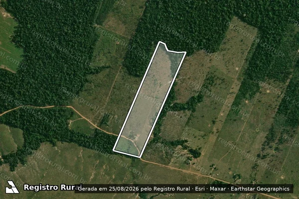 Imagem de satélite de Infração Ambiental em Porto Velho - RO