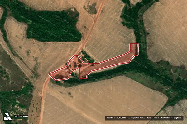Imagem de satélite de Infração Ambiental em Pequizeiro - TO