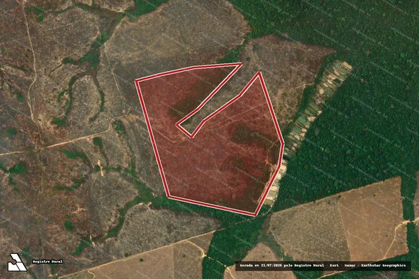 Imagem de satélite de Infração Ambiental em Novo Progresso - PA