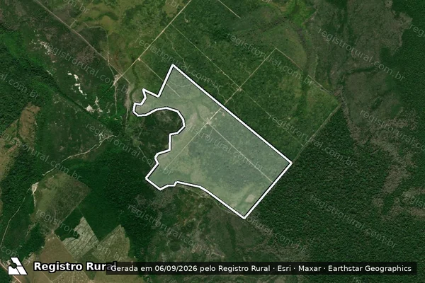 Imagem de satélite de Infração Ambiental em Apuí - AM