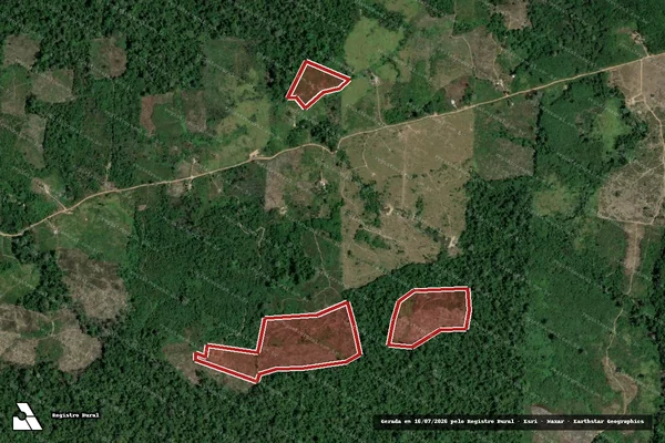 Imagem de satélite de Infração da Flora em Caroebe - RR