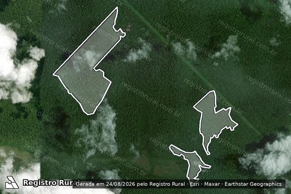 Imagem de satélite de Infração da Flora em Bagre - PA