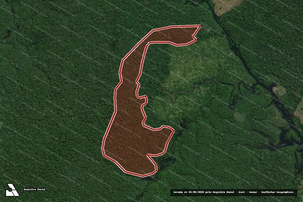 Imagem de satélite de Infração da Flora em Autazes - AM