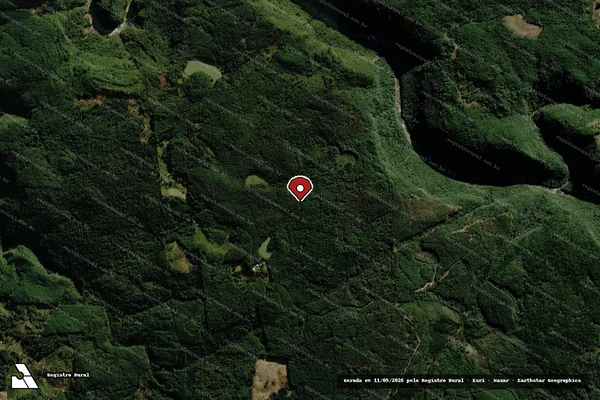Imagem de satélite de Infração Ambiental em Canela - RS (marcador da localização)