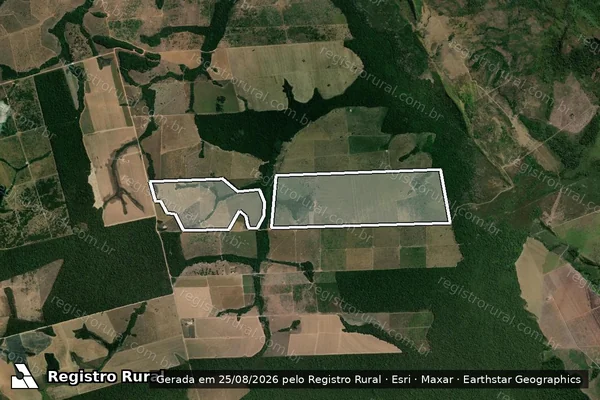 Imagem de satélite de Infração da Flora em Altamira - PA