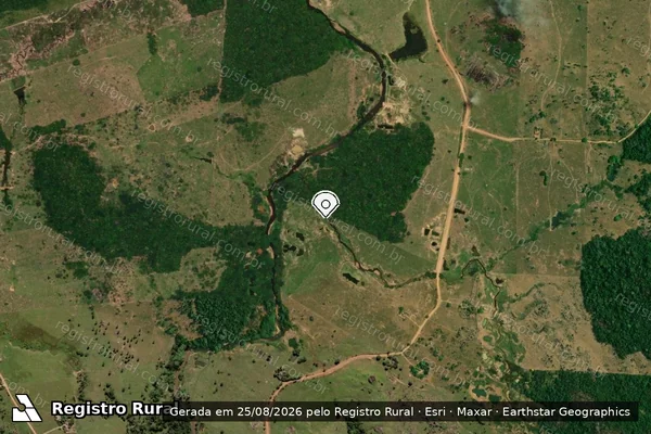 Imagem de satélite de Infração Ambiental em Campo Novo de Rondônia - RO (marcador da localização)