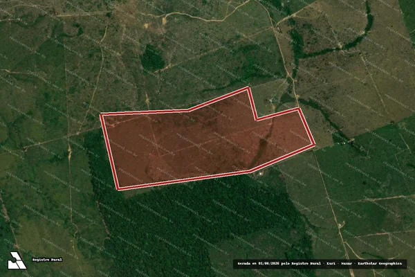 Imagem de satélite de Infração Ambiental em Apuí - AM