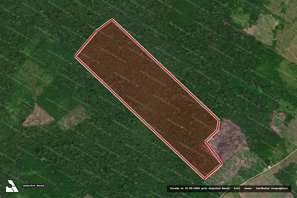 Imagem de satélite — Embargo IBAMA — Infração da Flora - São João da Baliza/RR
