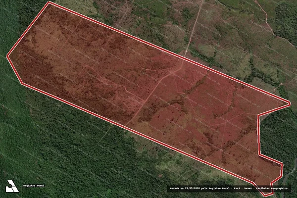 Imagem de satélite de Infração da Flora em Novo Progresso - PA