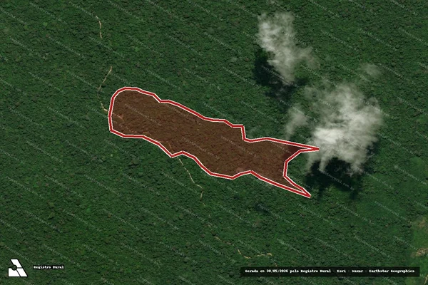Imagem de satélite de Infração Ambiental em Anapu - PA