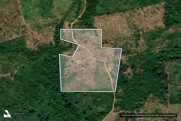 Imagem de satélite de Infração Ambiental em Placas - PA