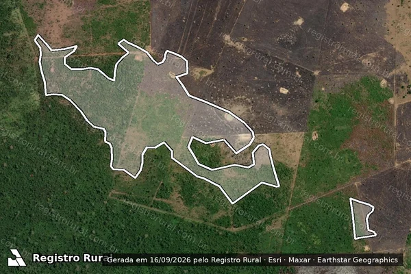 Imagem de satélite — Embargo IBAMA — Desmatamento - São Félix do Xingu/PA