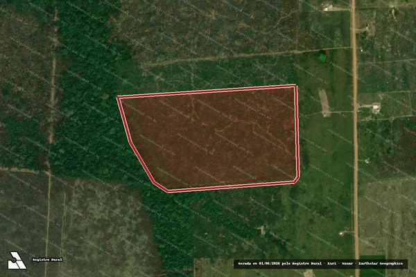 Imagem de satélite de Infração da Flora em Porto Velho - RO