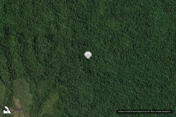 Imagem de satélite de Infração Ambiental em Dom Eliseu - PA (marcador da localização)